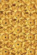 downloaded_image (8)