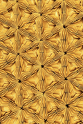 downloaded_image (14)