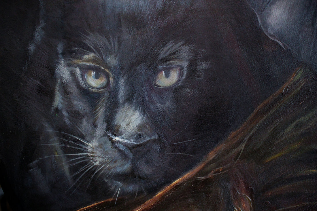 Shadows of a dream 2