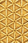 downloaded_image (5)