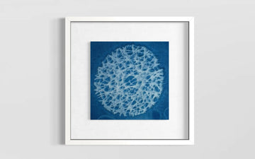 Geometría del Hielo